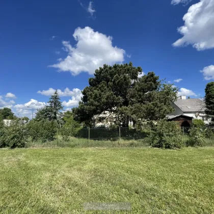TOLLES BAUGRUNDSTÜCK IN LIESING - PERFEKT FÜR IHR EIGENHEIM - DOPPELHAUS MÖGLICH - Bild 2