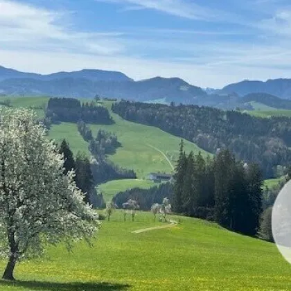 Apfelblüte im Mostviertel - Baugründe in wunderschöner, sonniger Lage! - Bild 3