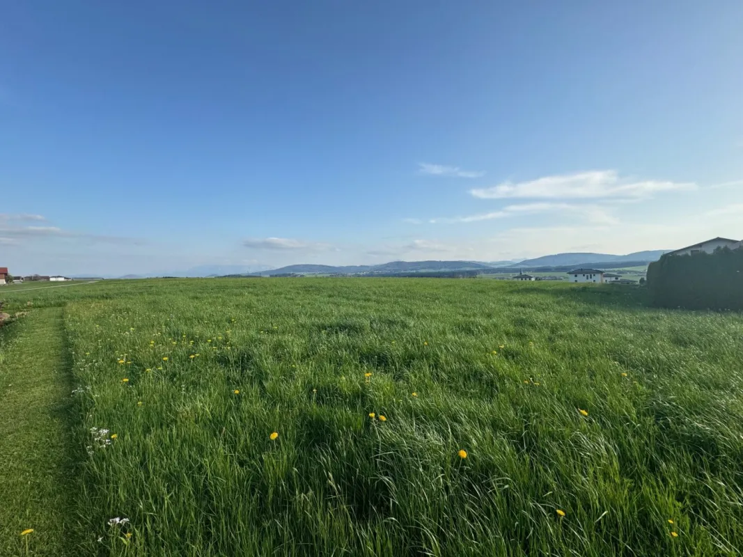 931 m2 Baugrund für Eigenheim mit Berg- und Fernblick | Pöndorf in Oberösterreich - Bild 1