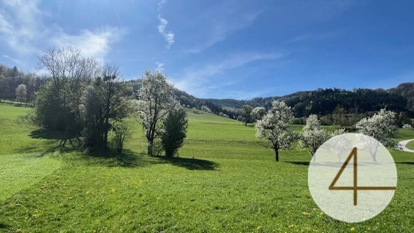 Sonniges Baugrundstück in wunderschöner Lage im Mostviertel! - Bild 1