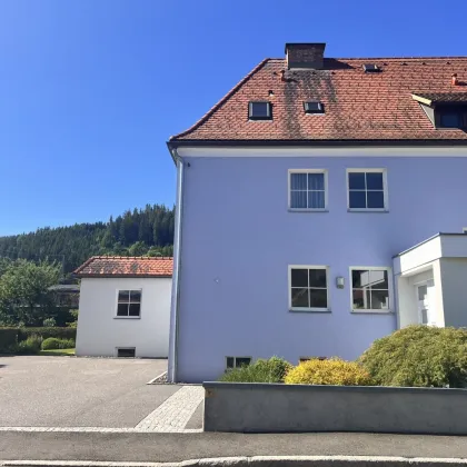 Geschäfts- /Wohnhaus mit Büros und Garten++ - Bild 2