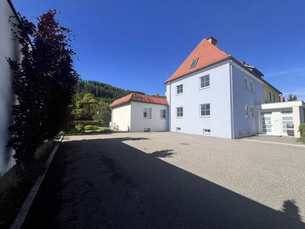 Geschäfts- /Wohnhaus mit Büros und Garten++ - Bild 1