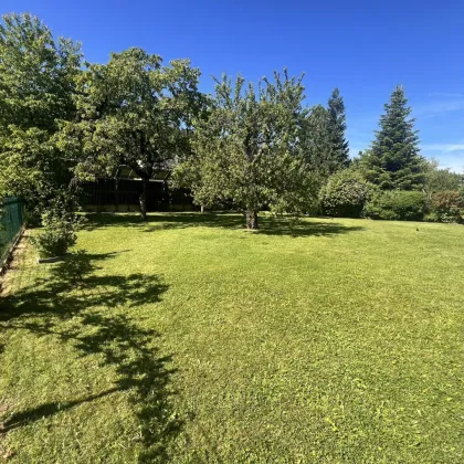 Geschäfts- /Wohnhaus mit Büros und Garten++ - Bild 3