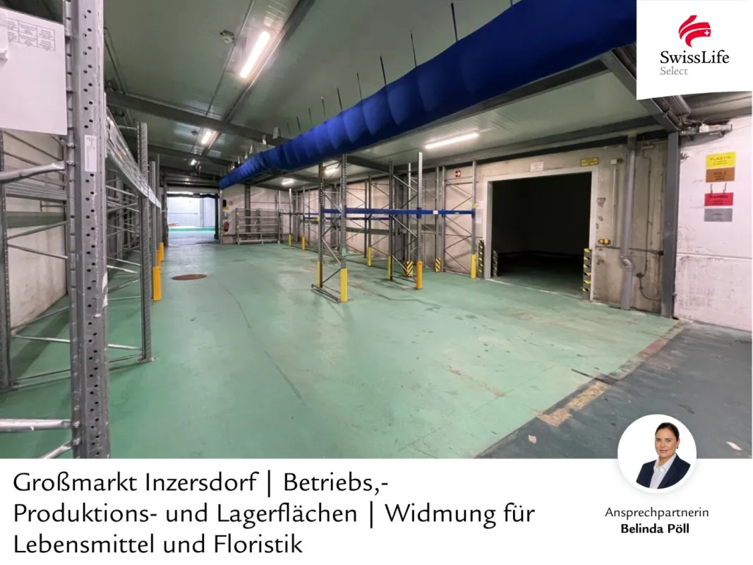 Großmarkt Inzersdorf | Betriebs,- Produktions- und Lagerflächen | Widmung für Lebensmittel und Floristik - Bild 1