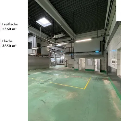 Großmarkt Inzersdorf | Betriebs,- Produktions- und Lagerflächen | Widmung für Lebensmittel und Floristik - Bild 2
