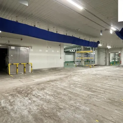 Großmarkt Inzersdorf | Betriebs,- Produktions- und Lagerflächen | Widmung für Lebensmittel und Floristik - Bild 3