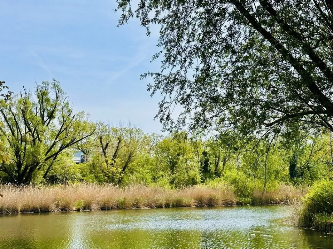 Wunderschöner Eigengrund - direkt am Mühlwasser - ganzjährig wohnen - 1220 Wien - Bild 1