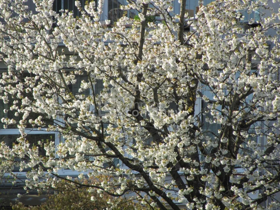 Schöne und große Wohnung. - Sonnig, tolle Aussicht ! - Bild 1