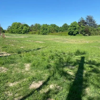 Lager- oder Abstellfläche 1.694 m² in Stammersdorf 1210 Wien - Bild 3