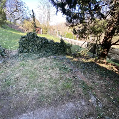 Idyllisches Gartengrundstück  in Kritzendorf - Bild 3
