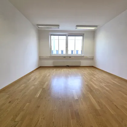 Mehrere freie Flächen in Bürogebäude nächst Triester Straße! - Bild 3