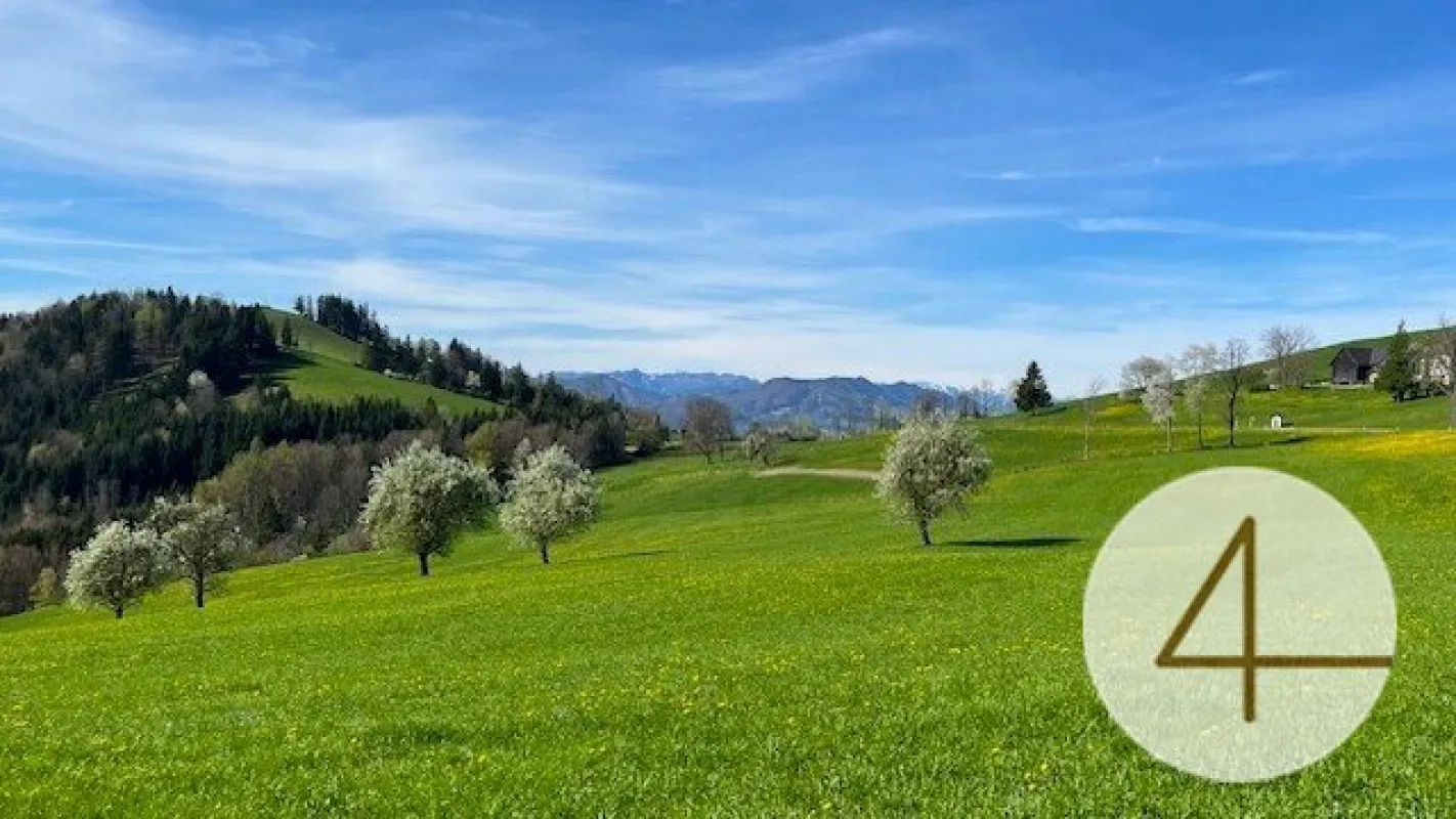 Bauträgerobjekt im Mostviertel - Baugründe in wunderschöner, sonniger Lage! - Bild 1