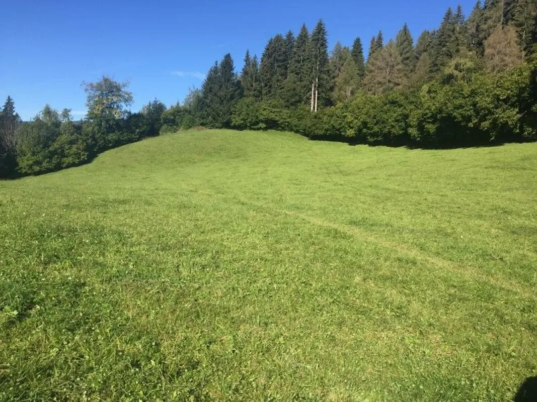 3 ha landwirtschaftliche Wiesenfläche - Bild 1