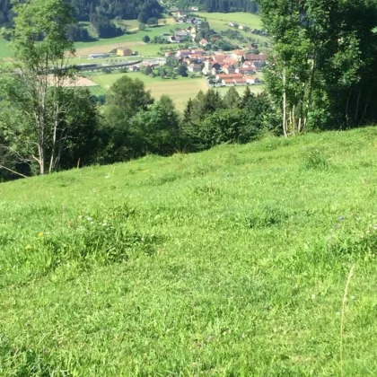 3 ha landwirtschaftliche Wiesenfläche - Bild 3