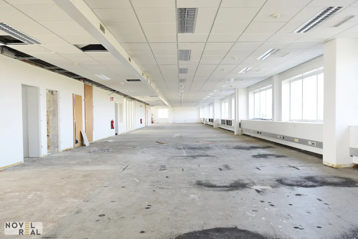 Moderne Gewerbefläche in Wiener Neudorf - Bild 1