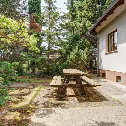 Kleines Haus auf idyllischem 800m2 Eckgrundstück - Bild 3