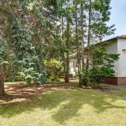 Kleines Haus auf idyllischem 800m2 Eckgrundstück - Bild 2