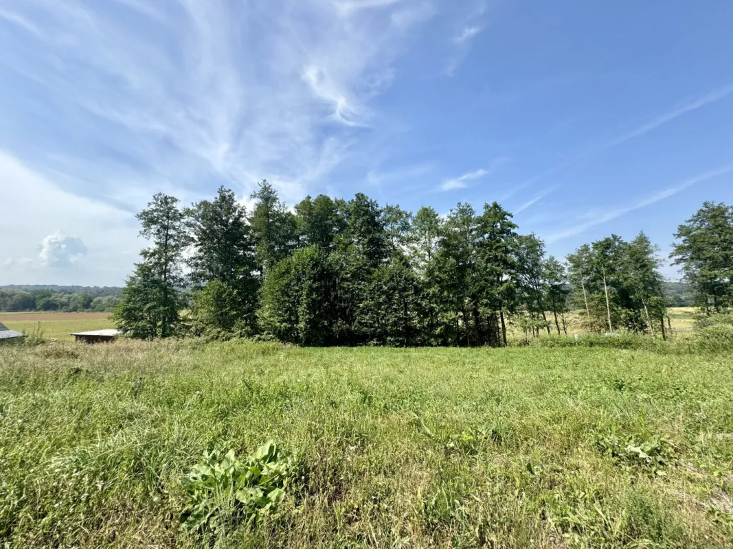 Sankt Johann im Saggautal! Traumhaftes Baugrundstück in malerischer Lage inkl. Bauplan - Bild 1