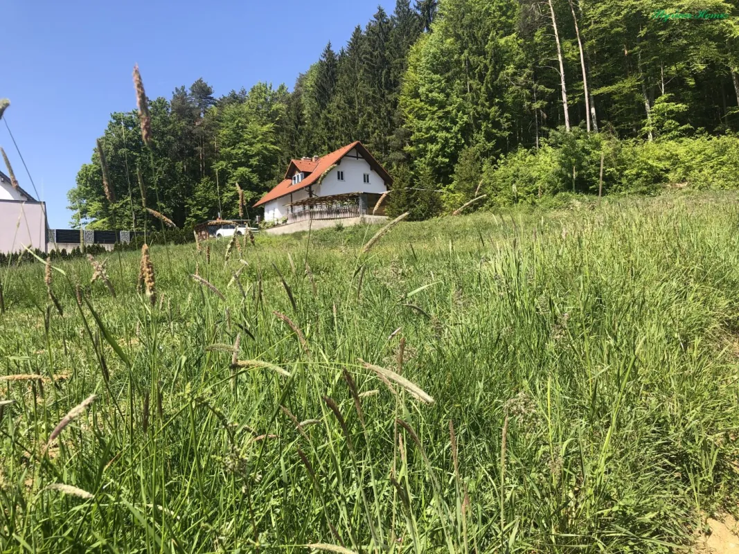 1683 m² Grundstück idyllisch am Waldrand, sonnig, aufgeschlossen 8411 Hengsberg - Bild 1