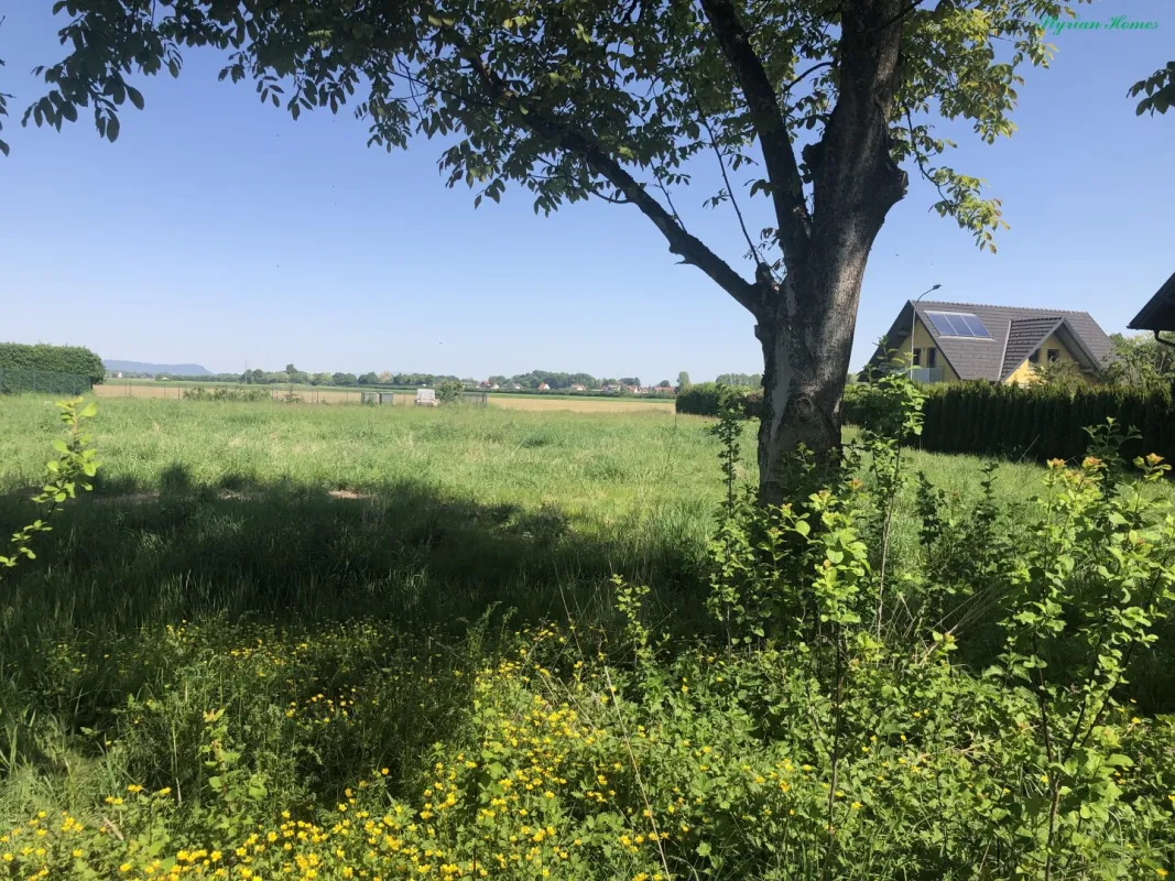 838 m² Grundstück sonnig, eben, aufgeschlossen 8472 Obervogau - Bild 1