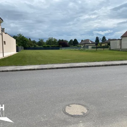 2284 Untersiebenbrunn Baubewilligtes Grundstück zu kaufen - Bild 2