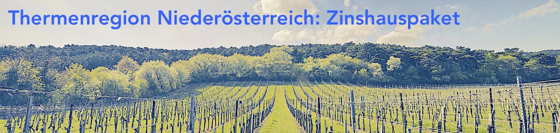 Anlage und Entwicklungspaket Thermenregion: zwischen Baden und Wrn Neustadt, 8 Zinshausliegenschaften 5.600qm, Einzelverkauf möglich...wieder ein interessantes Entwicklungsprojekt von "allesgefunden.at". - Bild 1
