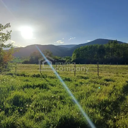 Gartenflächen am Ortsrand von Willendorf mit Grünblick 19,50 per m² - Bild 3