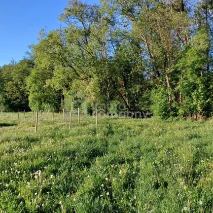 Gartenflächen am Ortsrand von Willendorf mit Grünblick 19,50 per m² - Bild 2