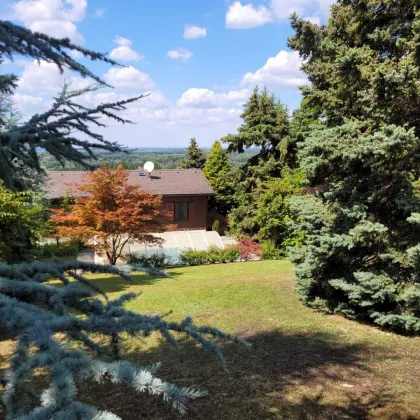 NEUER PREIS - TRAUMLAGE MIT POOL AM HUNDSHEIMER BERG - FERNBLICK - Bild 2