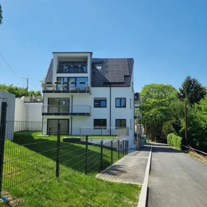 Traumhafte Gartenwohnung in bester Innenstadtlage - Schulertal Linz TOP 05 / Bauteil 1 - Bild 2
