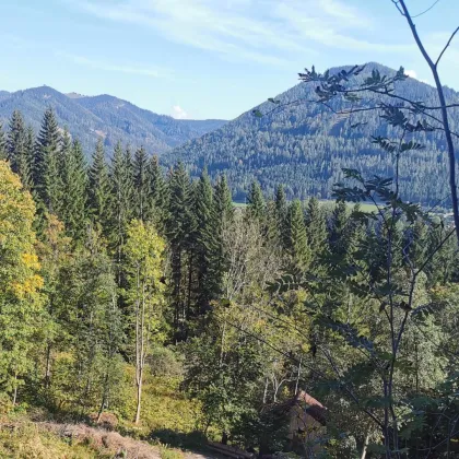 Baugrundstück mit Aussichtslage im Ferienwohngebiet von Spital am Semmering - Bild 3