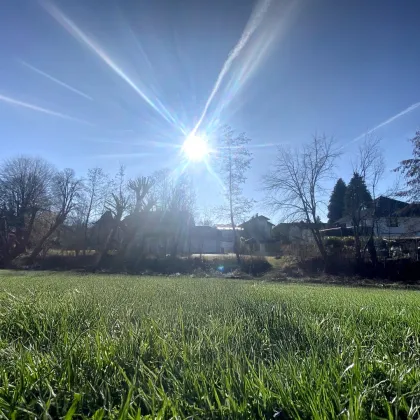 2 Zimmerwohnung in Alt Liefering mit schönem Gartenanteil - Bild 3