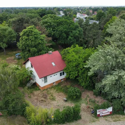 Ideales Baugrundstück mit viel Potential I Eckgrundstück I Ruhelage I ca. 20 Autominuten von Wien I - Bild 2