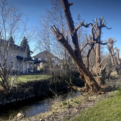 2 Zimmerwohnung in Alt Liefering mit schönem Gartenanteil - Bild 3