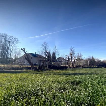 4 Zimmerwohnung in Alt Liefering mit schönem Balkon - Bild 2