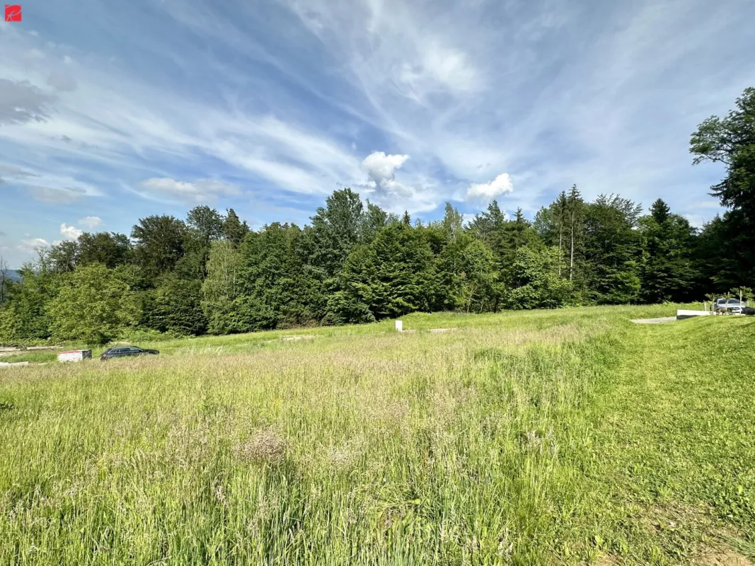 Attraktiver Bauplatz in sonniger Lage! - Bild 1