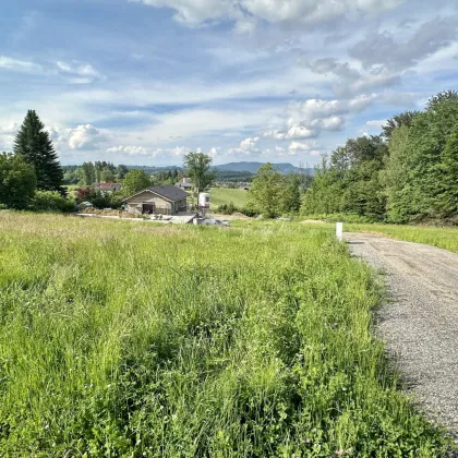 Attraktiver Bauplatz in sonniger Lage! - Bild 2