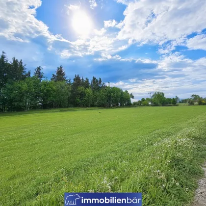 Traumhaftes Grundstück mit Aussicht - Utzenaich - Bild 3