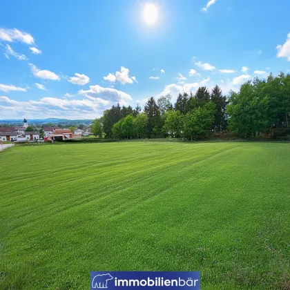 Mein Panorama - großes Grundstück in Bestlage - Bild 3