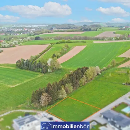 Mein Panorama - großes Grundstück in Bestlage - Bild 2
