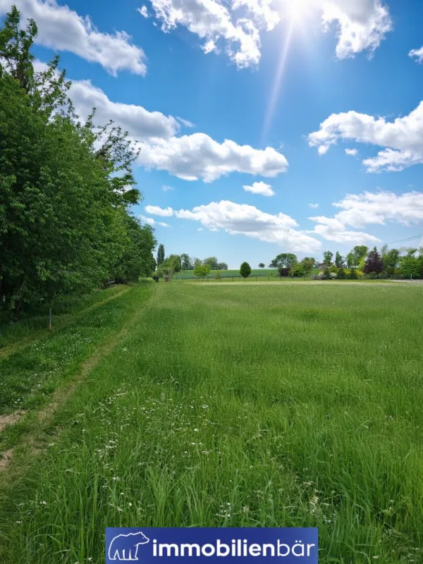 Mein Panorama - großes Grundstück in Bestlage - Bild 1