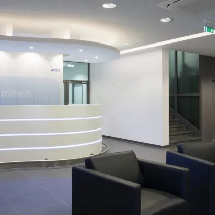 Modernisierte Büroetage in einem Bürohaus beim EKZ-Auhof - Bild 3