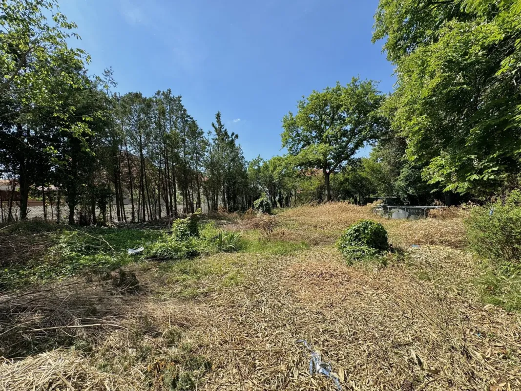 Nachbarparzelle ebenfalls verfügbar I ideales Baugrundstück mit viel Potential I Grün-Ruhelage I ca. 20 Autominuten von Wien I - Bild 1