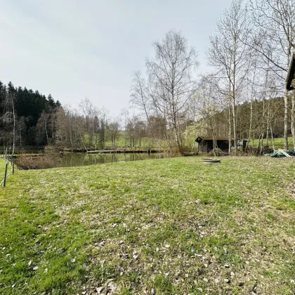 Besichtigungstag am 08.11.25! Idyllisches Freizeitdomizil in absoluter Ruhelage – Ein Paradies für Naturliebhaber - Bild 2