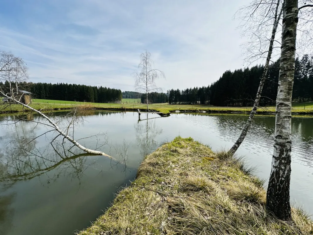 Besichtigungstag am 08.11.25! Idyllisches Freizeitdomizil in absoluter Ruhelage – Ein Paradies für Naturliebhaber - Bild 1