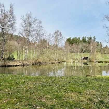 Besichtigungstag am 08.11.25! Idyllisches Freizeitdomizil in absoluter Ruhelage – Ein Paradies für Naturliebhaber - Bild 3