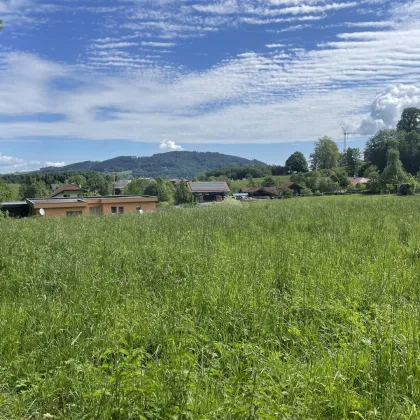 Traumhafte Baugrundstücke in der Nähe vom Attersee ! - Bild 3