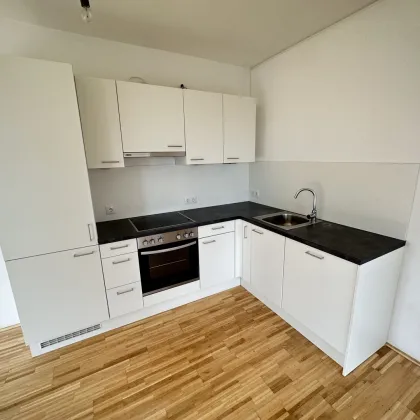 AKTION 1 MONAT MIETZINSFREI! - URBAN GARDENING IM NEUEN VIERTEL REININGHAUS - Bild 3