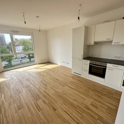 AKTION 1 MONAT MIETZINSFREI! - URBAN GARDENING IM NEUEN VIERTEL REININGHAUS - Bild 2