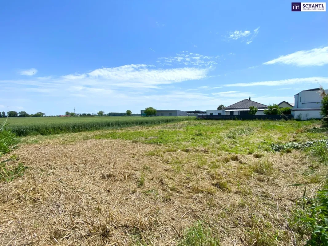 Perfekt für Häuslbauer und als Anlage: Baugrundstück I Grünruhelage I unverbautes Gegenüber I Kein Bauzwang! - Bild 1